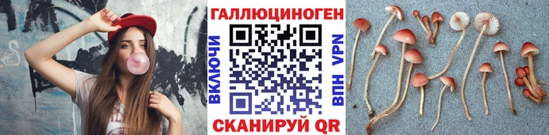 Галлюциногенные грибы мицелий  ОМГ ОМГ ссылка  Мантурово  купить наркотики сайты 